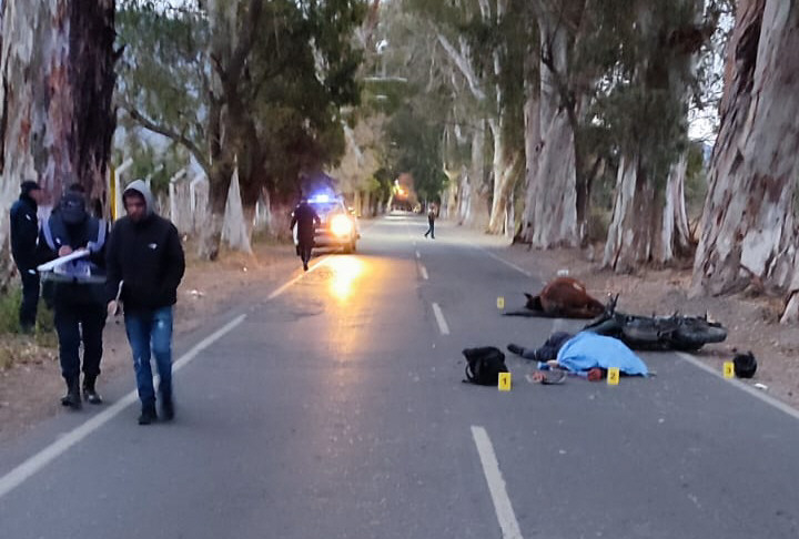 Chocó en moto a un caballo suelto en la calle y murió