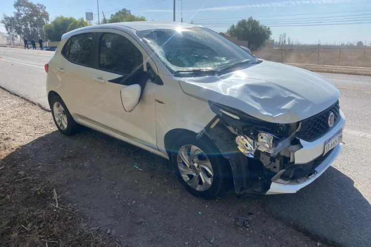 Dos alumnas sufrieron heridas al ser embestidas en la Ruta 20: una de ellas está grave