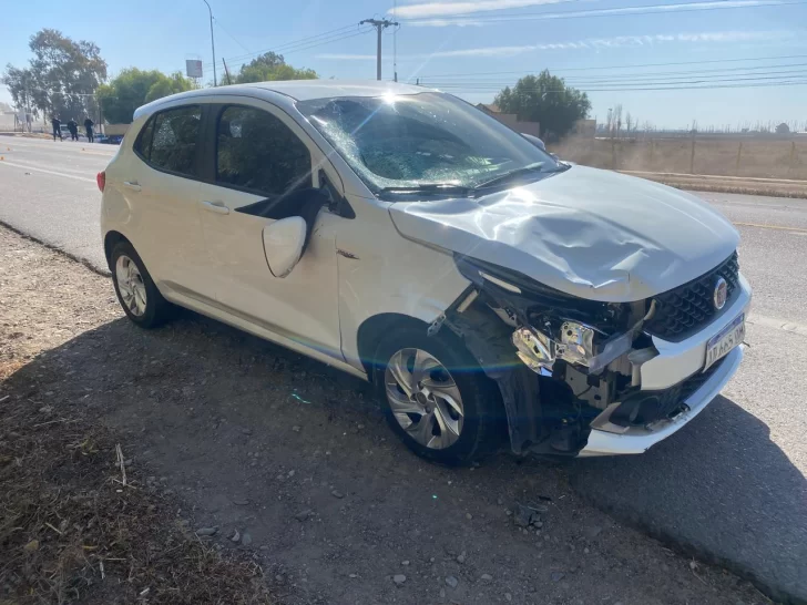 Dos alumnas sufrieron heridas al ser embestidas en la Ruta 20: una de ellas está grave