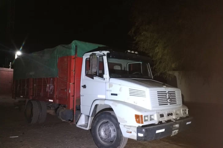 Sorprenden a un camionero que transportaba ilegalmente más de 800 estacones verdes