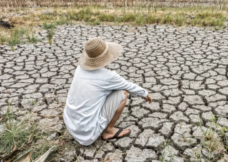 La ONU insta a actuar urgente contra la desertificación de los suelos