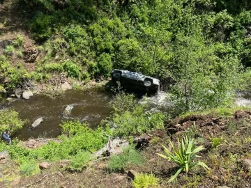 Un perro hizo 6 kilómetros en un intento por conseguir ayuda y salvar a su dueño tras un accidente