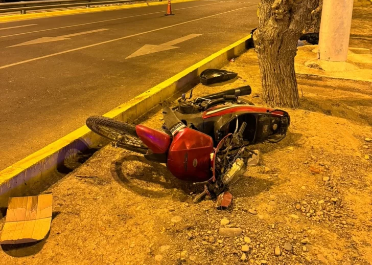 Un motociclista murió luego de perder el control e impactar contra un árbol