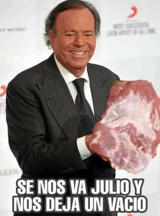 Julio-iglesias-meme-009-541x728