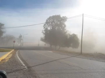 Alerta por viento en San Juan: seguí en VIVO la velocidad de las ráfagas del Sur, los picos del día y la evolución de la temperatura