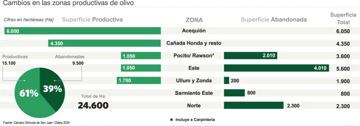 Superficie-Olivicola-copia-728x255