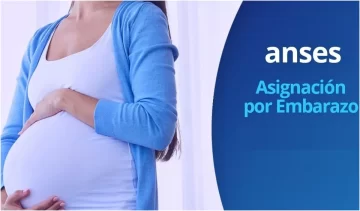 anses-embarazo-728x426