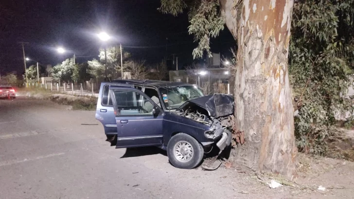 Chocó contra un árbol y murió: Bomberos intervino por una fuga en el tubo de GNC