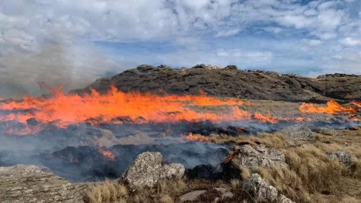 Advirtieron que más de 3.500 hectáreas fueron consumidas en el incendio de Córdoba