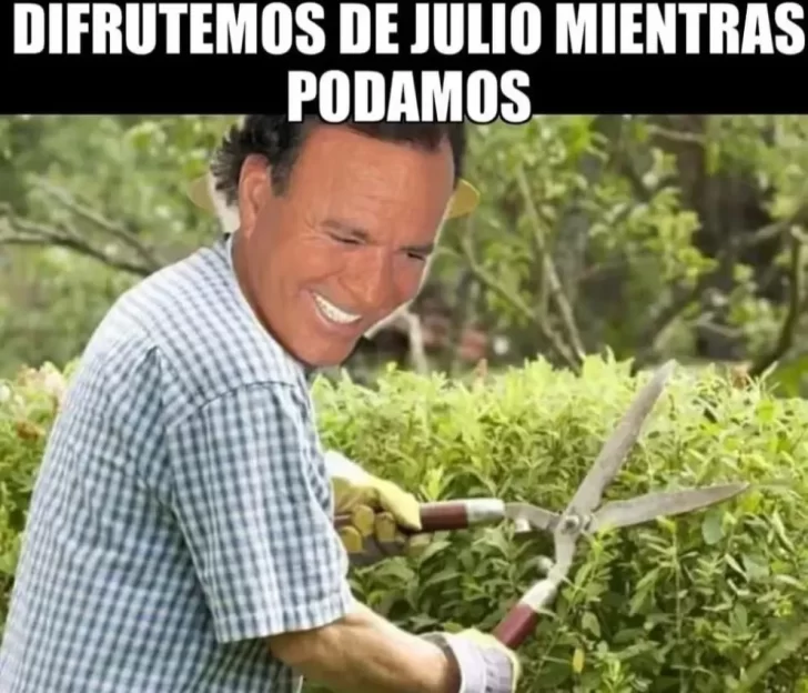 meme-julio-05-728x624