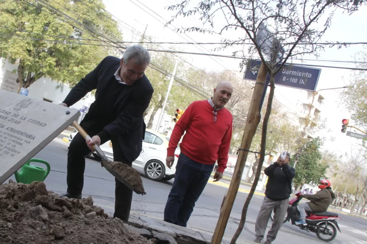 Plantaron la réplica de un árbol histórico que fue muy valorado por Sarmiento