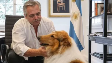 Milei le ofreció a Alberto Fernández adoptar a su perro Dylan