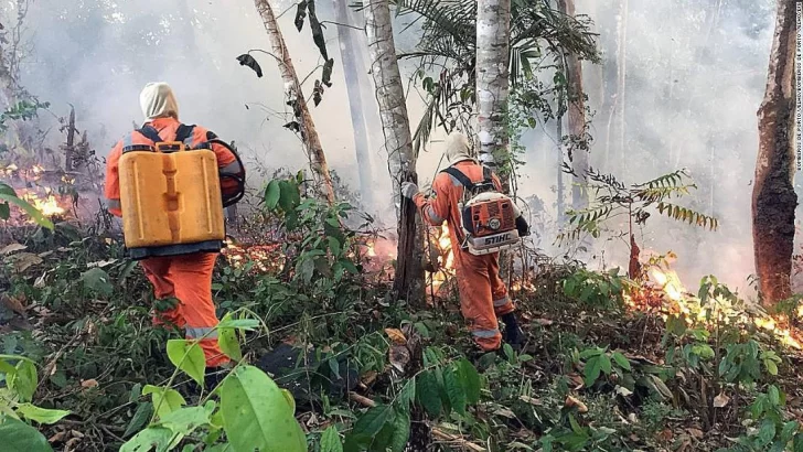 Incendios voraces en el Amazonas y en Grecia