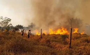 Grandes incendios arrasan Bolivia y Brasil