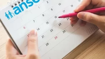 ANSES: cuál es el calendario de pagos para septiembre de 2024