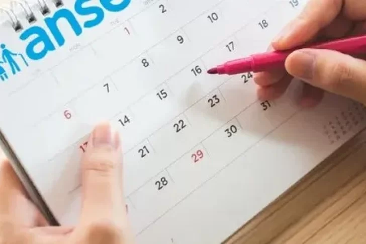 ANSES: cuál es el calendario de pagos para septiembre de 2024