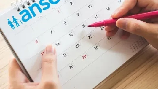 ANSES: cuál es el calendario de pagos para septiembre de 2024