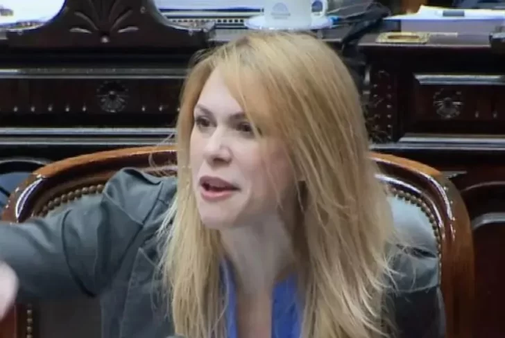 Lemoine despotricó contra Arrieta: “La diputada del patito está desequilibrada mentalmente”