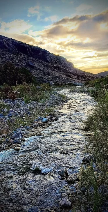 Los maravillas de San Juan, en foco