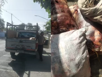 Hallazgo de carne de caballo en Chimbas: cárcel para un imputado y pena condicional para otros tres