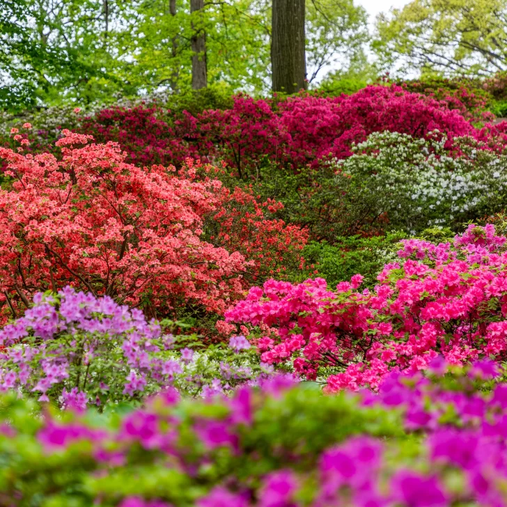 10 tareas de primavera