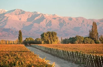 La Consulta: primer pueblo del vino local