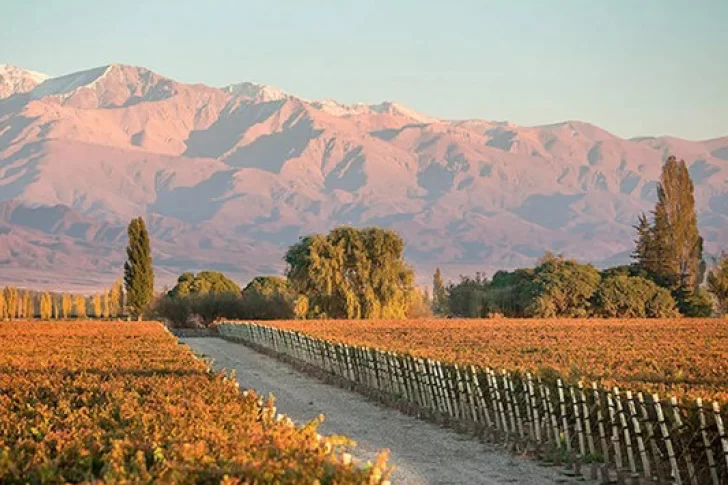 La Consulta: primer pueblo del vino local