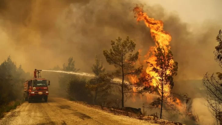 Incendios forestales afectan la salud respiratoria