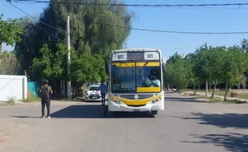 Un colectivo atropelló a un niño y en la frenada una embarazada cayó y terminó en el hospital