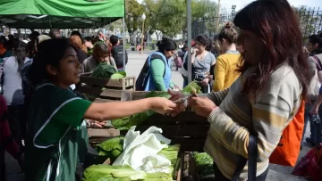 El Gobierno dio de baja a 62.000 beneficiarios del Monotributo Social