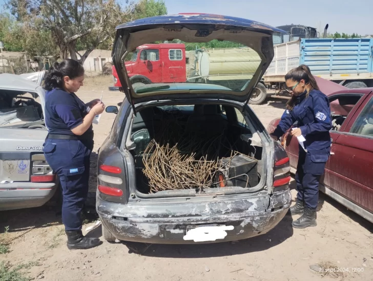 Llevaban hierros robados, los detuvo la policía y quedaron detenidos