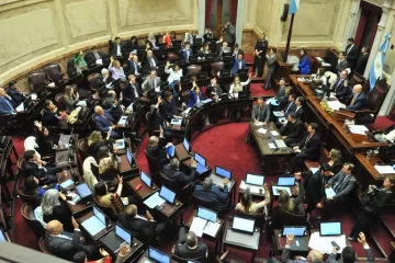 El Senado aprobó con cambios la Boleta Única de Papel y la definición quedó en manos de Diputados