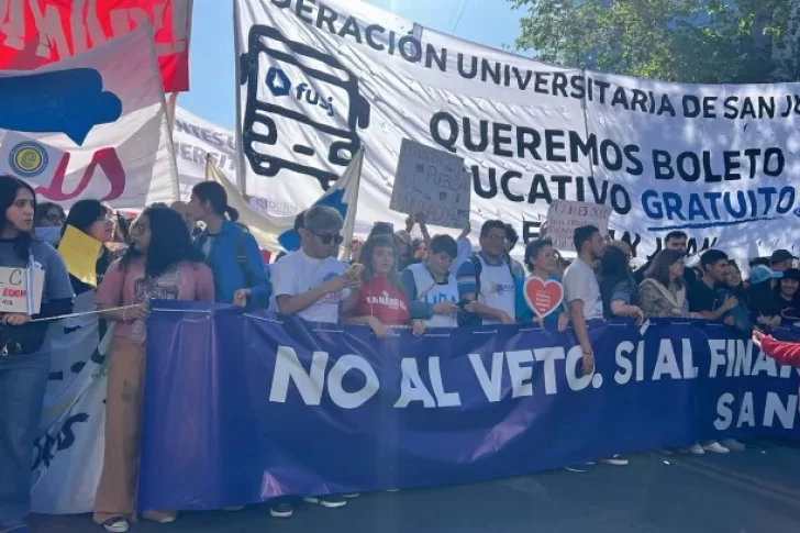 Qué garantiza la ley que hoy vetaría el Presidente