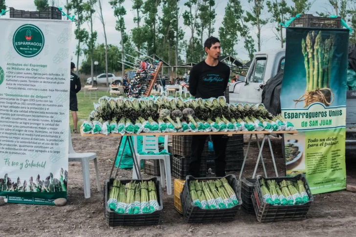 La Fiesta del Espárrago mostró un gran potencial exportador