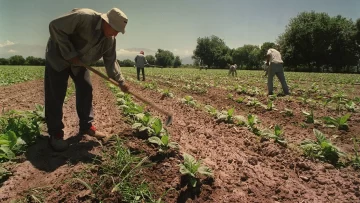 Día del Trabajador Rural