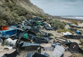 La contaminación de los pesqueros está matando la fauna marina en la Patagonia