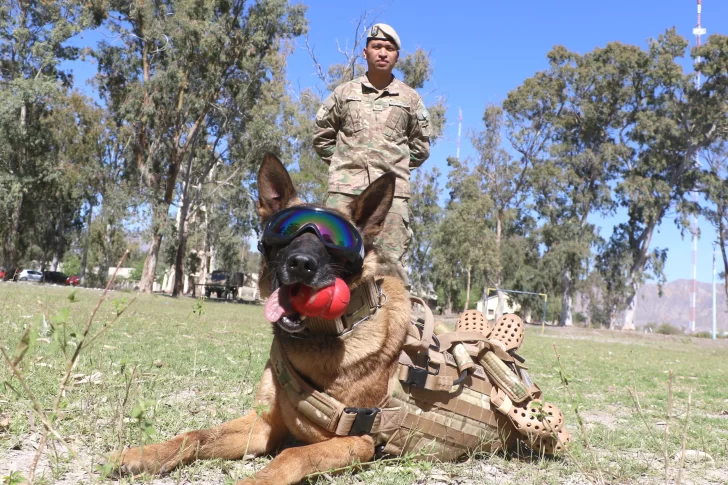 Dereck, el primer perro rescatista en prestar servicio en el RIM 22