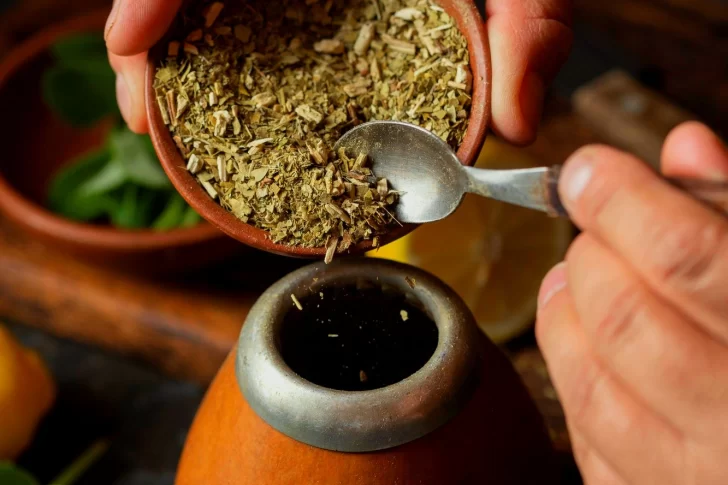 Cómo elegir la mejor yerba mate: Consejos clave para cada gusto