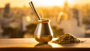 Mitos y realidades sobre la yerba mate: Lo que necesitas saber