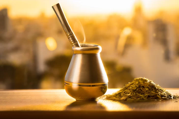 Mitos y realidades sobre la yerba mate: Lo que necesitas saber