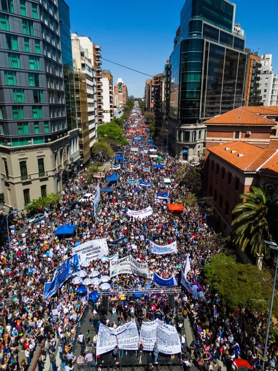 marcha-universitaria-cordoba-546x728