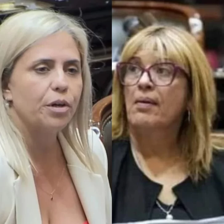 Las diputadas del orreguismo votarán en contra del veto: “Es a favor de la educación pública y las universidades”, dijo Picón