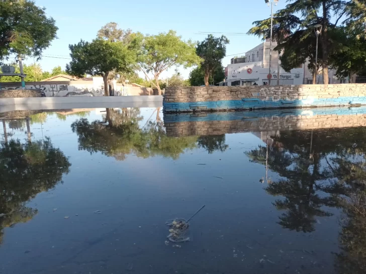 Peligro en la fuente de plaza de Desamparados