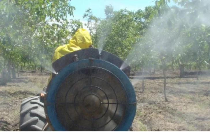 Protección de los viñedos: estrategias para controlar la amenaza de la Lobesia Botrana