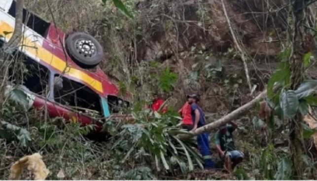 Al menos 17 muertos al caer un autobús a un precipicio en Brasil