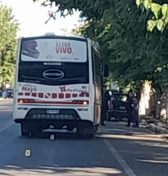 Una menor fue embestida por un colectivo