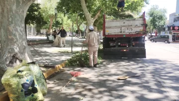 Luego de la tormenta, hubo un operativo especial para dejar limpia la Ciudad