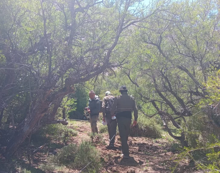 Descubren una joya de la flora autóctona y la cuidan junto a Nación