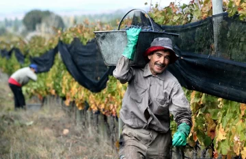 Créditos de cosecha: estarán listos antes de que termine enero