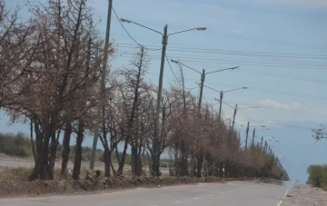 Con $616 millones, renuevan 5,5 km de luces en la Ruta 12, camino a los diques